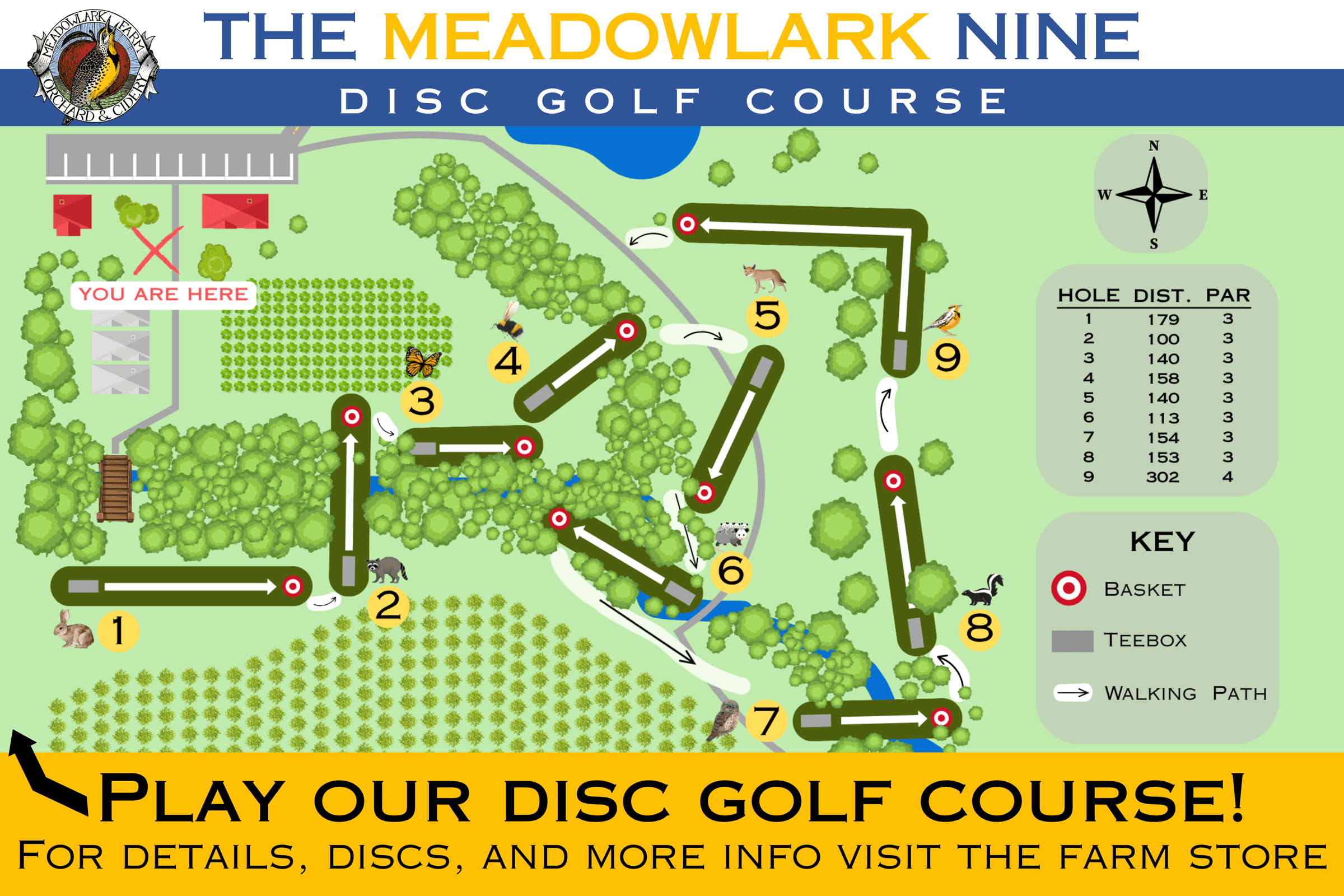 Disc golf